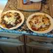 sharkbites2424