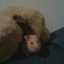 Kevin andres Forero