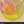 catherin A