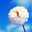 flower8986 flower8986