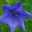 Dominique R.R.