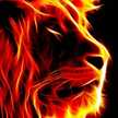 lioness814