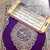 👱سوار الذهب👑