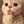 Aries Jeck