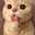 Aries Jeck