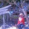 Alfina Alfina