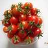 Nayarra's Kitchen