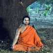 Akshay Arya
