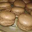 زهرة الياسمين