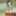 Lilas_sweets2 Lilas_sweets2