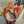 Rosalie