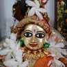 Hare Krishna