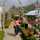 Yenis_kitchen Yenis_kitchen