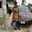 Joy C Edeh