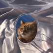 Rafah