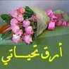 Nana ام محمد