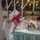 Melani Kitchen