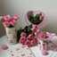 Habiba Magdy