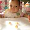 Banan Hasanah
