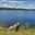 Katherinne Isla Busse Katherinne Isla Busse