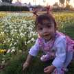 Asma137464