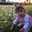 Asma137464