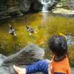 astien nurdiantiwi