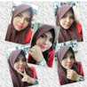 Bunga Mawar Merah Bunga Mawar Merah
