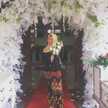 Alfira Fatimah Fitriana