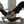 Seelie Pilates