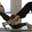 Seelie Pilates