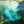 civciv