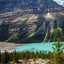 جيجي 