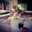 Tippi