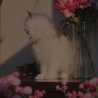 Jawaher Majed Jawaher Majed