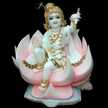 Kanchan Verma 