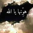 Omnia abulyazeid 