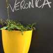 veronica80