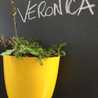 veronica80 veronica80
