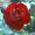 Ahmad Ahmad