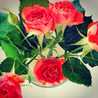 Mrs kiani Mrs kiani