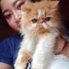 Mimin Katty Mimin Katty