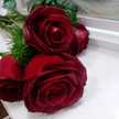 cook_maryam