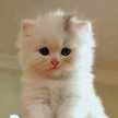 Myriam