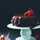 Razan Razan