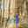 IniNehaa-
