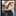 Steve Alarcon Steve Alarcon