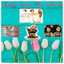 Barbies Vintage Plus Collectables