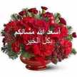 أم عمار‬‎