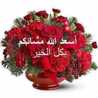 أم عمار‬‎